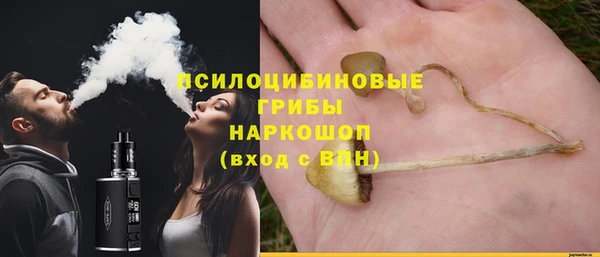 спайс Кодинск